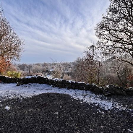 Sligo Forest Retreat Zewnętrze zdjęcie