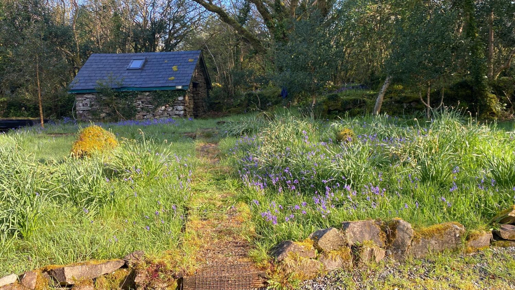 Sligo Forest Retreat Zewnętrze zdjęcie