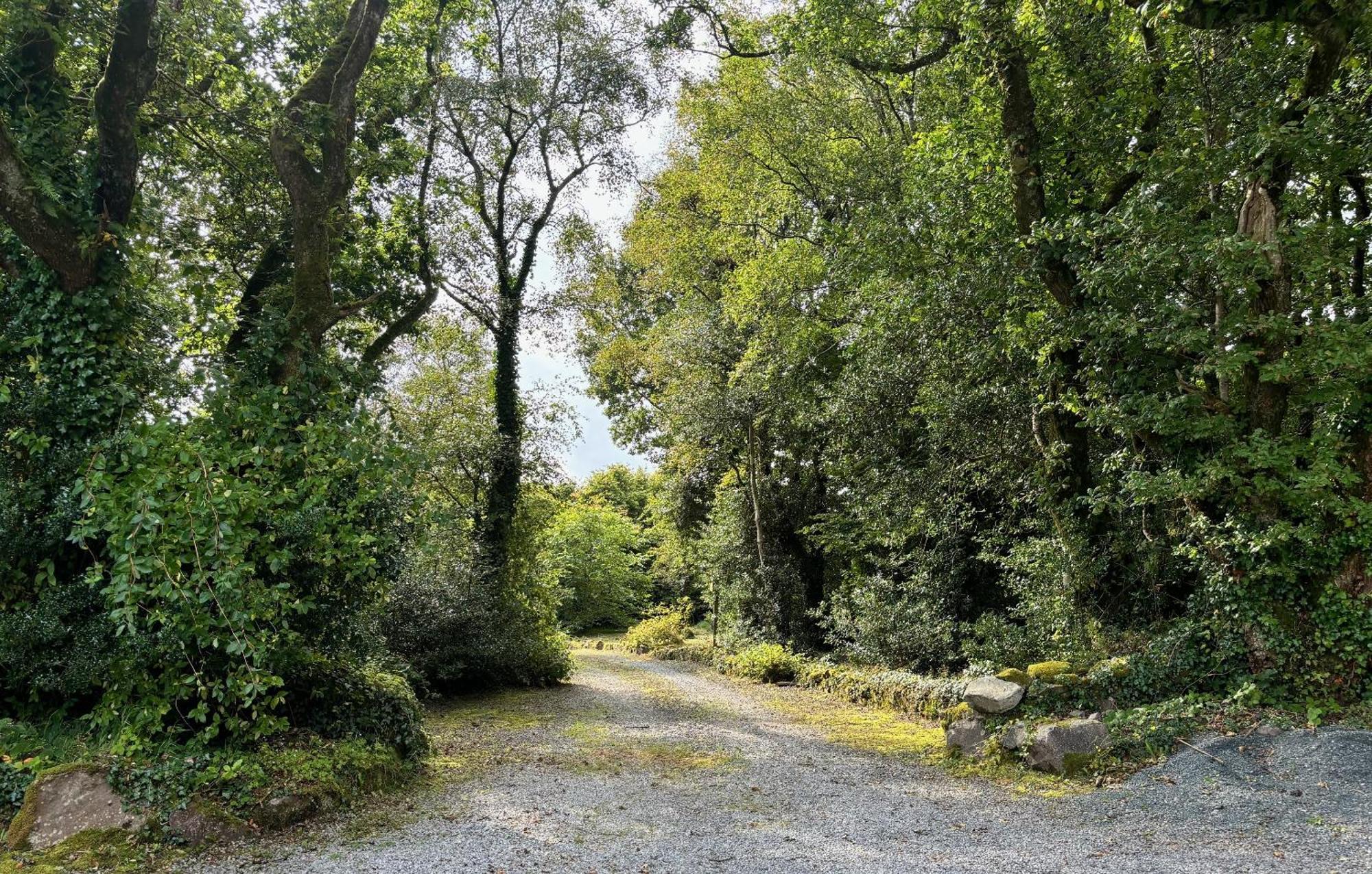 Sligo Forest Retreat Zewnętrze zdjęcie