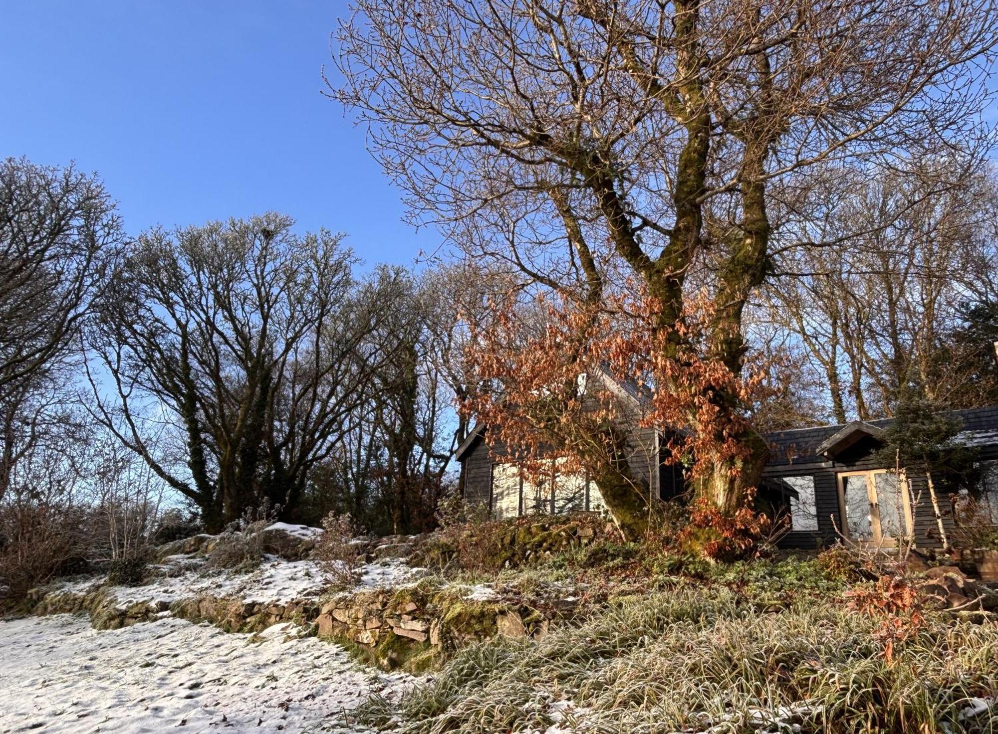 Sligo Forest Retreat Zewnętrze zdjęcie